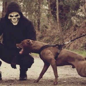 Meet your Posher, Loreen